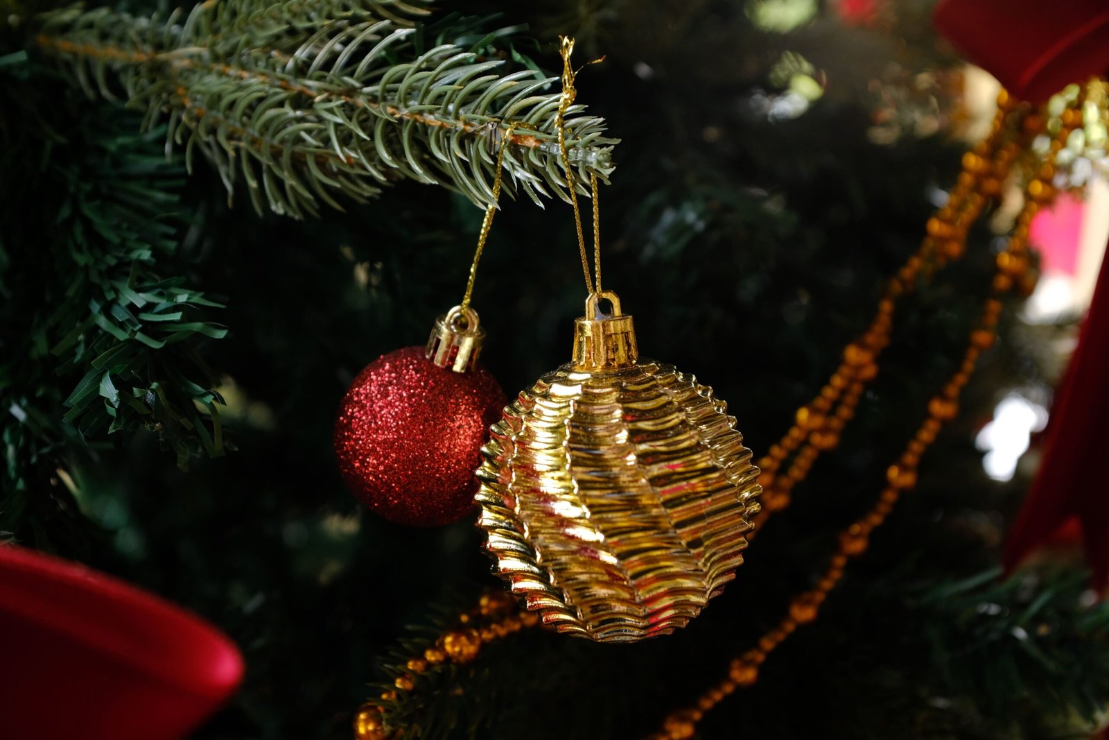 Gold and red decorations hanging from an evergreen Christmas tree branch